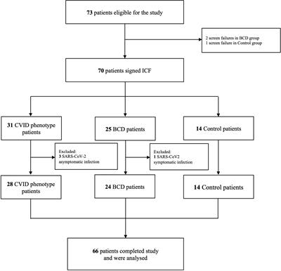 Evaluation of Humoral and Cellular Immune Responses to the SARS-CoV-2 Vaccine in Patients With Common Variable Immunodeficiency Phenotype and Patient Receiving B-Cell Depletion Therapy